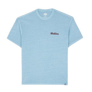 Мужская футболка Dickies SLAYDEN GD TEE SS
