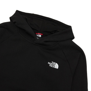 Мужская толстовка The North Face RAGLAN RED BOX Hoodie