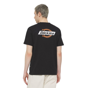 Мужская футболка Dickies SS RUSTON TEE