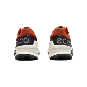 Мужские кроссовки ECCO BIOM 2.1 X COUNTRY
