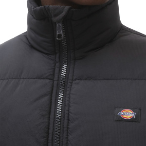 Мужская куртка Dickies WALDENBURG