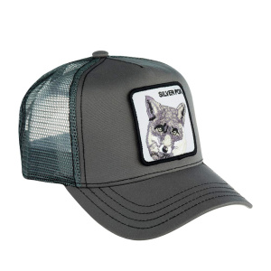 Кепка Goorin brothers FOX