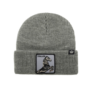 Шапка Goorin brothers STALLION