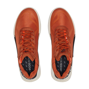 Мужские кроссовки ECCO BIOM 2.1 X COUNTRY