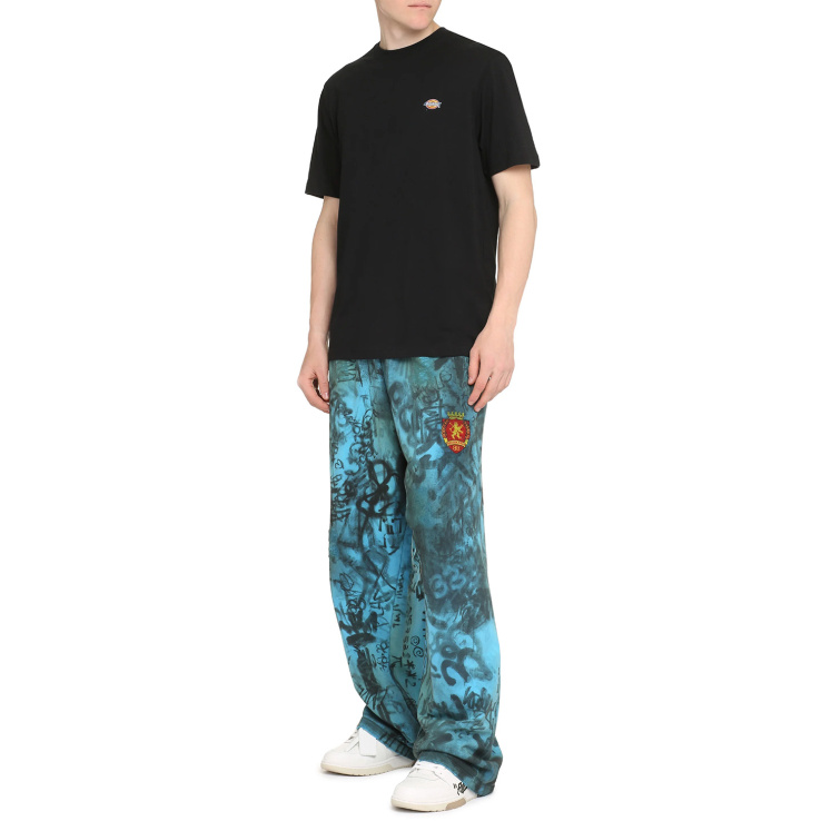 Мужская футболка Dickies SS MAPLETON TEE