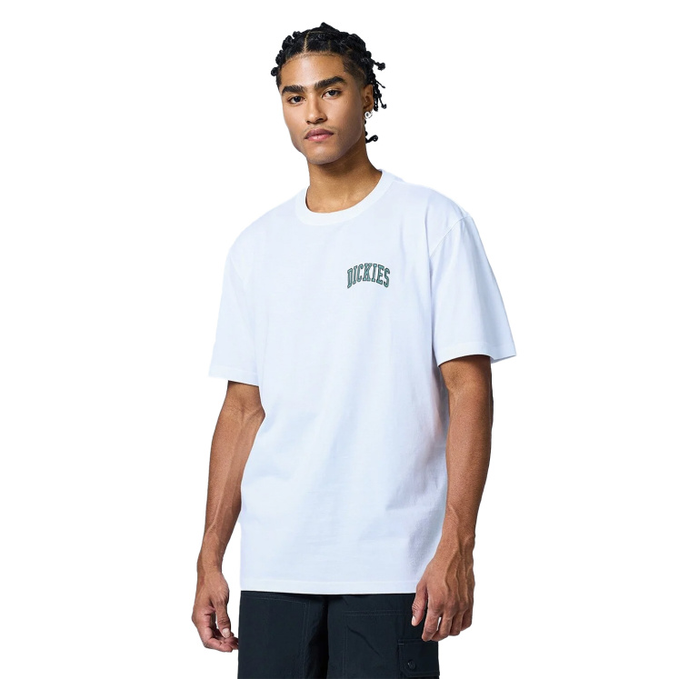 Мужская футболка Dickies AITKIN CHEST TEE SS