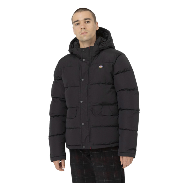 Мужская куртка Dickies GLACIER VIEW PUFFER