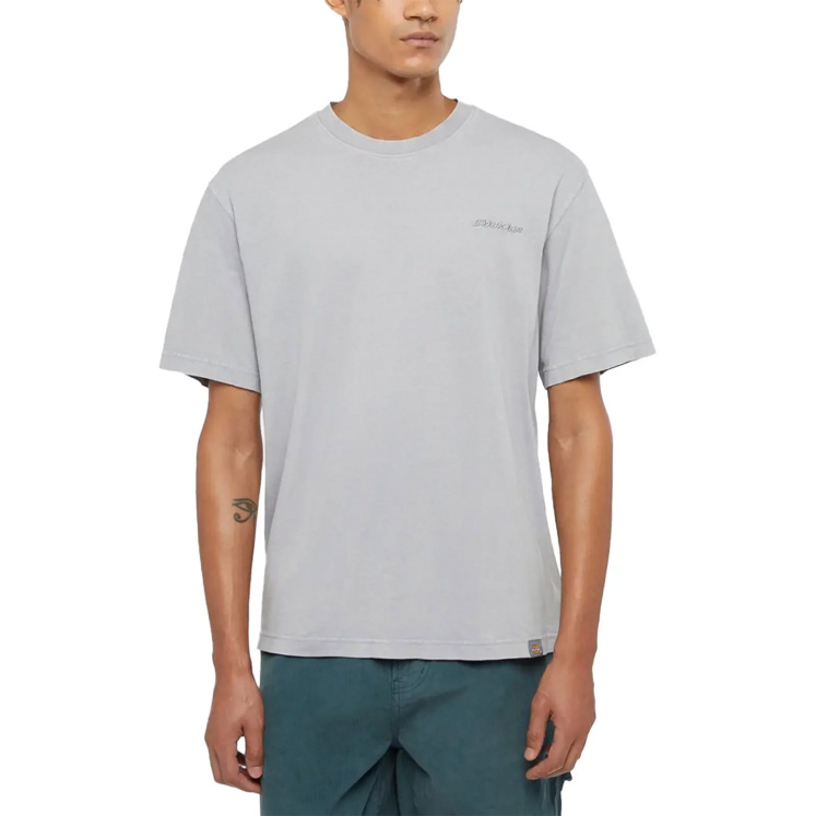 Мужская футболка Dickies PLENTYWOOD TEE SS