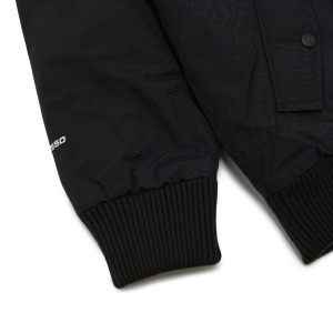 Мужская парка The North Face GOTHAM JKT