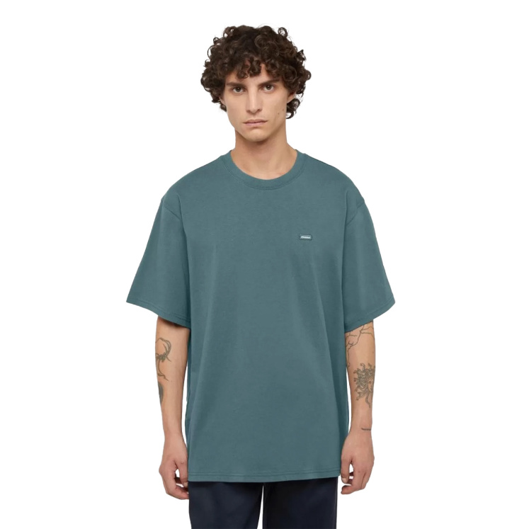Мужская футболка Dickies CLANCY HEAVYWEIGHT TEE SS