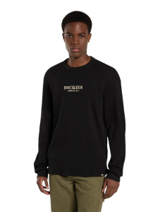 Мужской лонгслив Dickies WAFFLE TEE LS