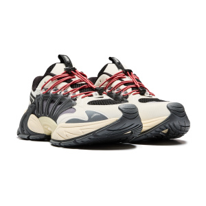 Мужские кроссовки Anta Peacock