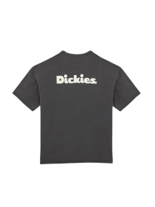 Мужская футболка Dickies SLAYDEN GD TEE SS