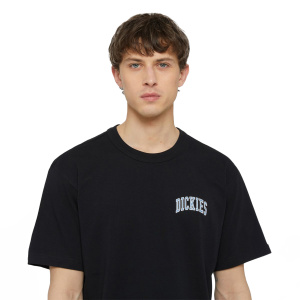 Мужская футболка Dickies AITKIN CHEST TEE SS