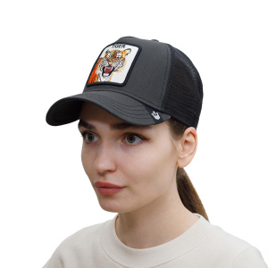 Кепка Goorin brothers Eye of the Tiger
