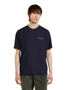 Мужская футболка Dickies PELHAM TEE SS