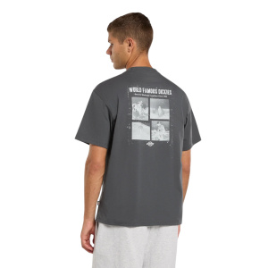 Мужская футболка Dickies WOLFHURST SS TEE