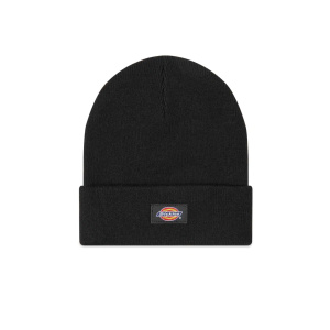 Мужская шапка Dickies GIBSLAND BEANIE