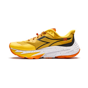 Кроссовки diadora SESTRIEREXT 2