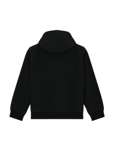 Мужская куртка Dickies HILHAM HOODED CANVAS JACKET