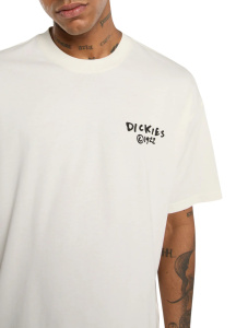 Мужская футболка Dickies SNEEDVILLE TEE SS