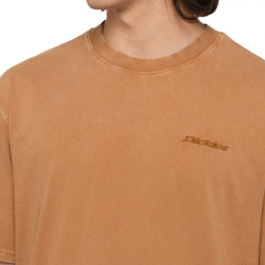 Мужская футболка Dickies PLENTYWOOD TEE SS