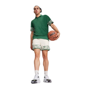 Мужские шорты PUMA The Fairgrounds Terry Short