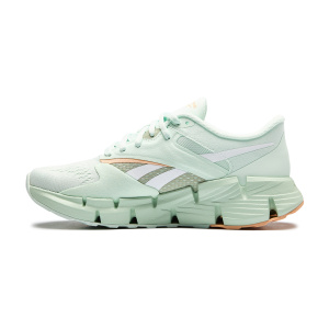 Женские кроссовки Reebok ZIG DYNAMICA 5