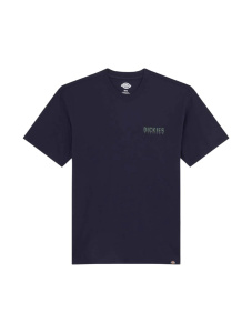 Мужская футболка Dickies PELHAM TEE SS