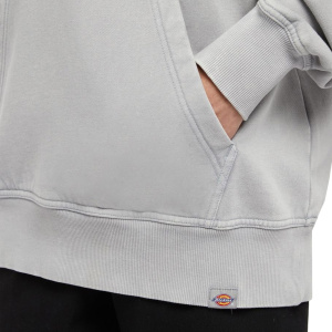 Мужская толстовка Dickies PLENTYWOOD HOODIE