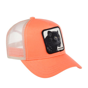 Кепка Goorin brothers THE PANTHER