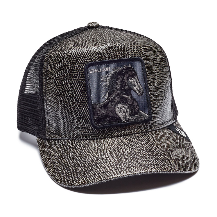 Кепка Goorin brothers DARK HORSE