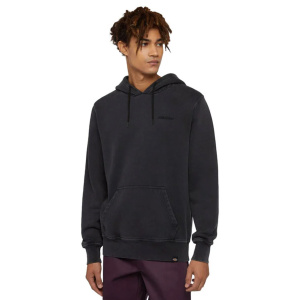 Мужская толстовка Dickies PLENTYWOOD HOODIE