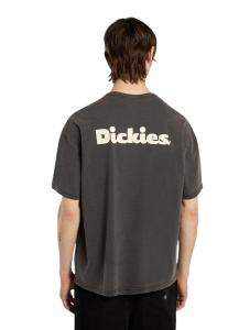 Мужская футболка Dickies SLAYDEN GD TEE SS