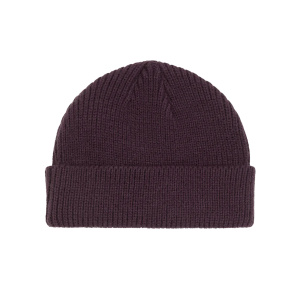 Мужская шапка Dickies WOODWORTH BEANIE