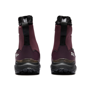 Женские ботинки Jack Wolfskin DROMOVENTURE TEXAPORE BOOT W