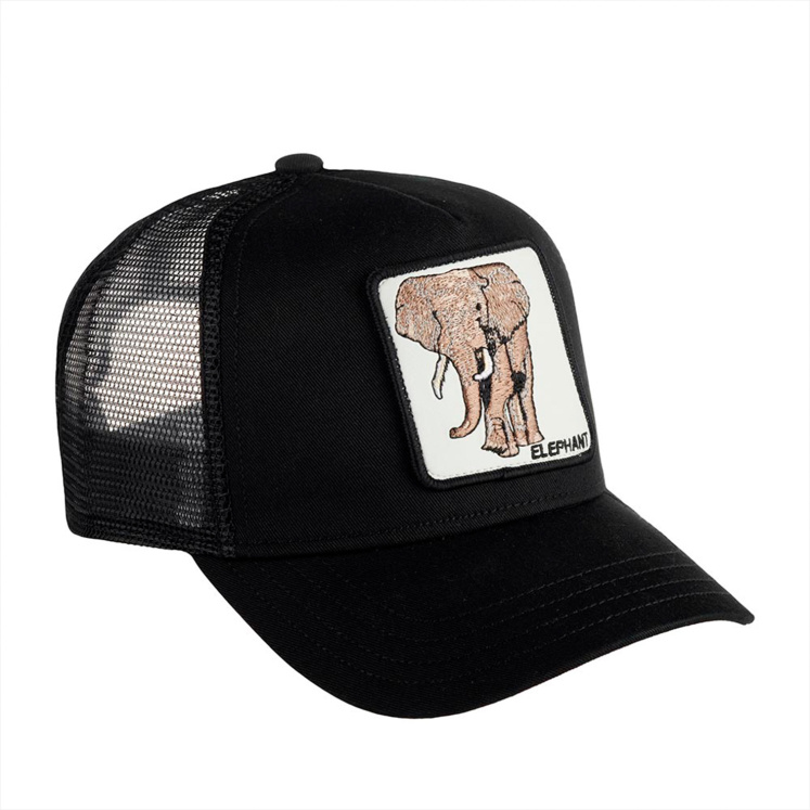 Кепка Goorin brothers ELEPHANT