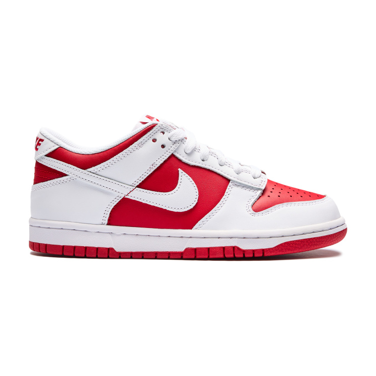 Женские кеды Nike DUNK LOBG
