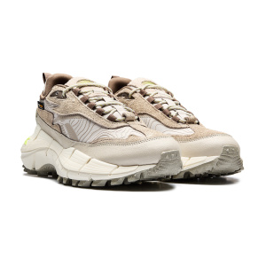 Мужские кроссовки Reebok ZIG KINETICA 2.5 EDGE WINTER