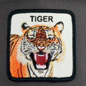 Кепка Goorin brothers EYE OF THE TIGER