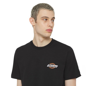 Мужская футболка Dickies SS RUSTON TEE