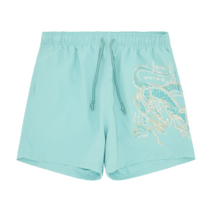 Мужские купальные шорты UNITED 4 SHORTS