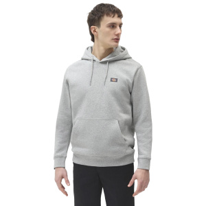 Мужская толстовка Dickies OAKPORT HOODIE