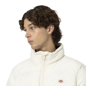 Мужская куртка Dickies WALDENBURG