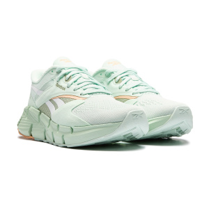 Женские кроссовки Reebok ZIG DYNAMICA 5