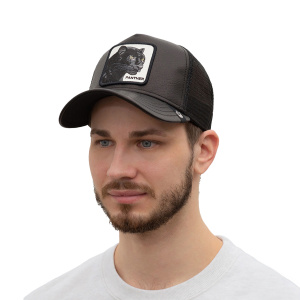 Кепка Goorin brothers Truth Will Prevail