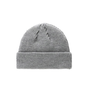Мужская шапка Dickies WOODWORTH BEANIE