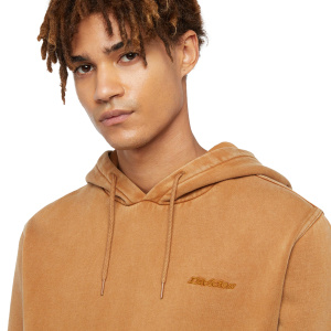 Мужская толстовка Dickies PLENTYWOOD HOODIE