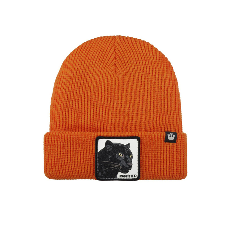 Шапка Goorin brothers PANTHER VISION