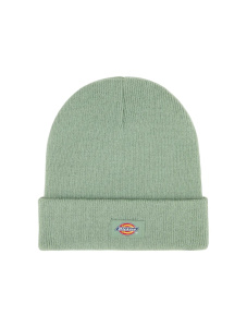 Мужская шапка Dickies GIBSLAND BEANIE